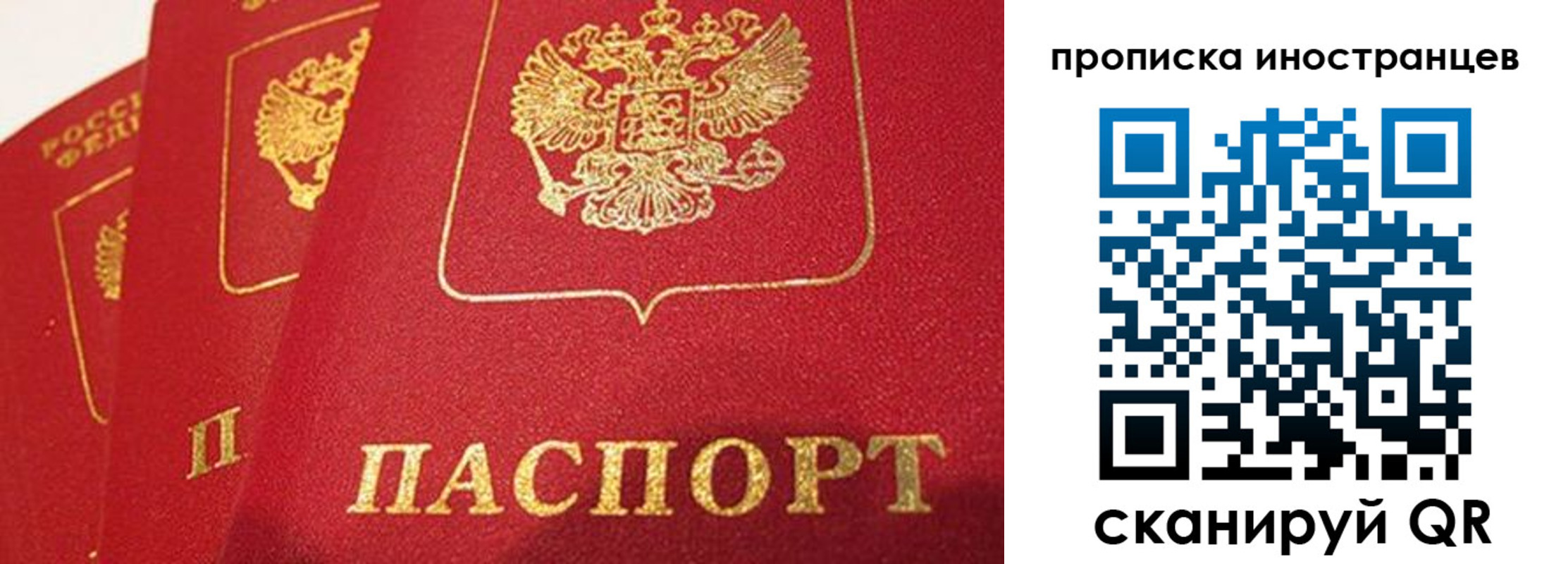 прописка поиск в Калуге